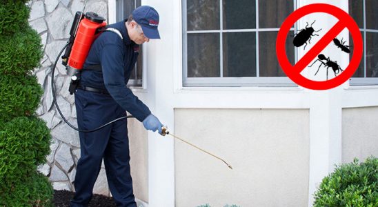 Salihli Hamam Böceği İlaçlama böcek ilaçlama ve haşere kontrolü — ilaclama-tr.com